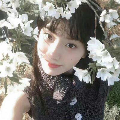 汗血宝马